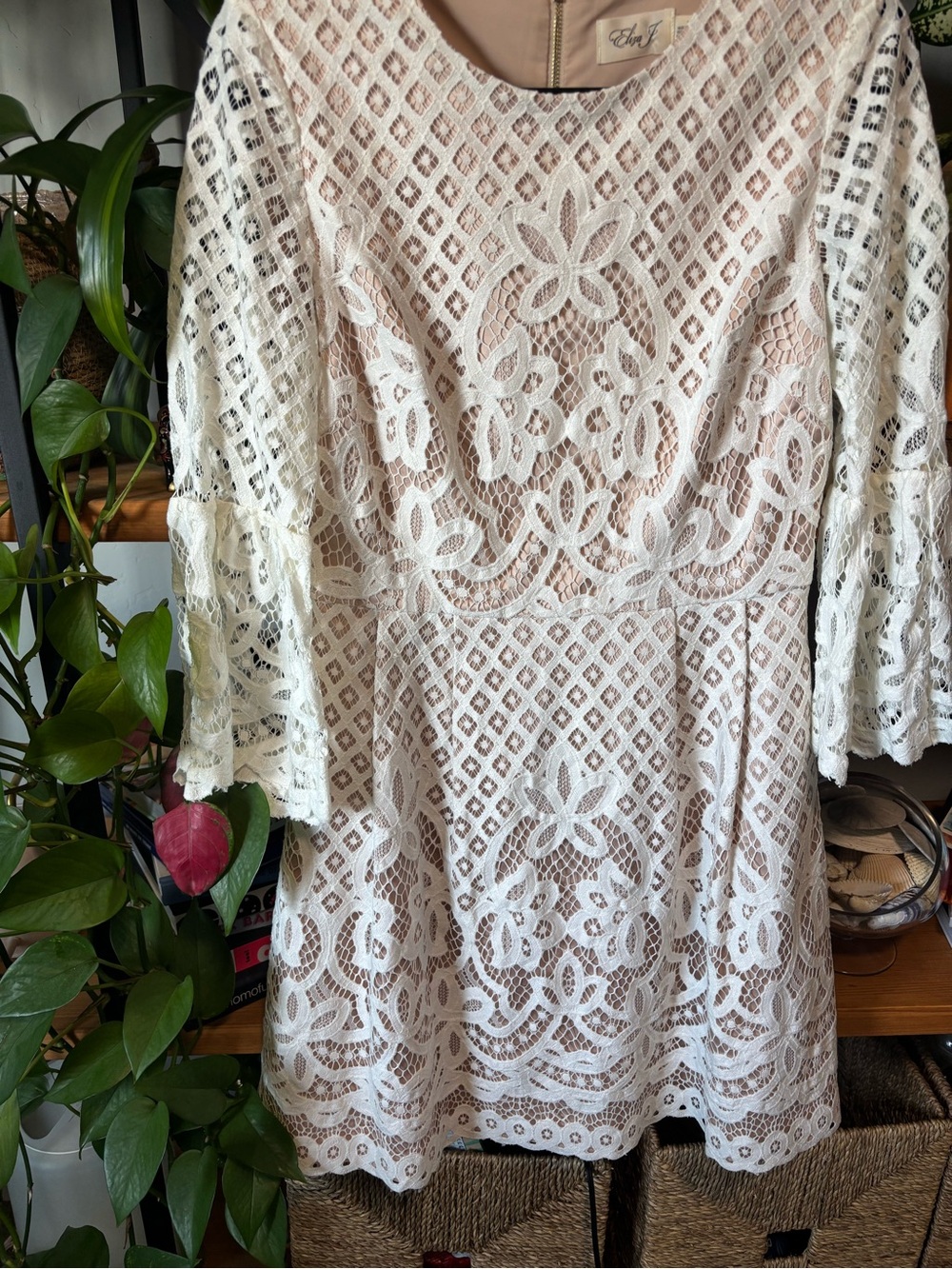 ELIZA J Bell Sleeve Lace Fit & Flare Dress In Ivory | Size 8 - Picture 5 of 8